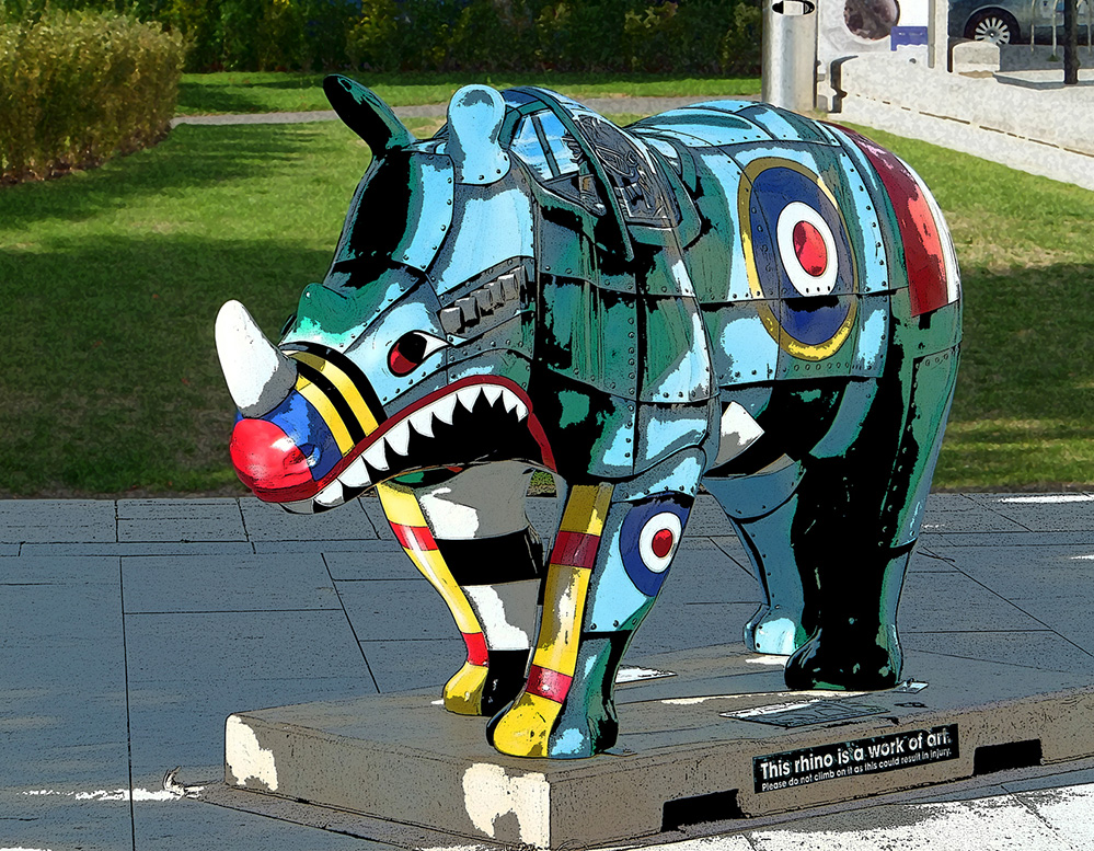 Southampton Rhino 4